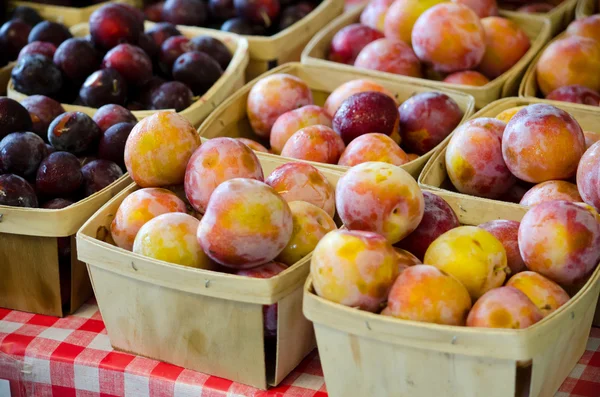 Peaches and plums — Stock Photo, Image