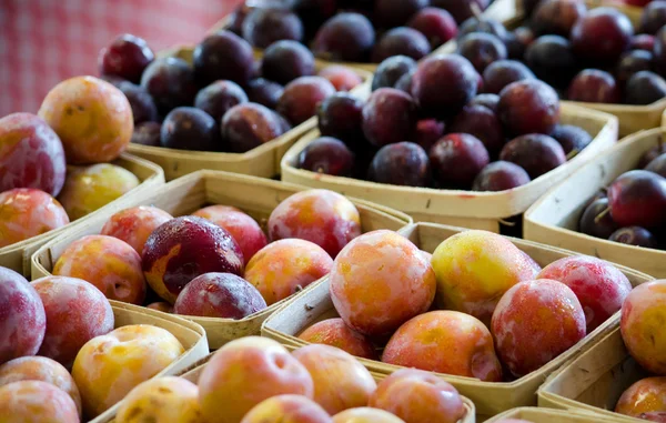 Perziken en pruimen — Stockfoto