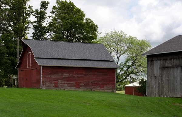 Red barns and out buildings — Stock Photo, Image
