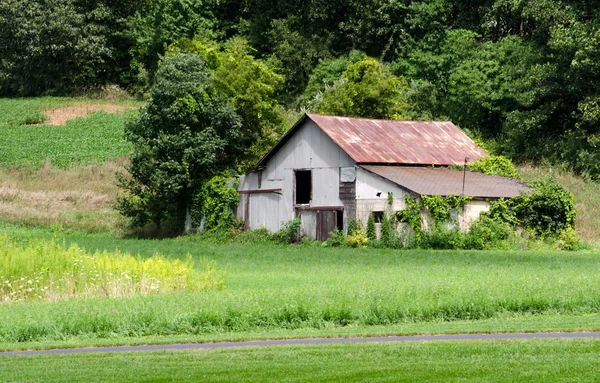 Staré stékají michigan farma — Stock fotografie