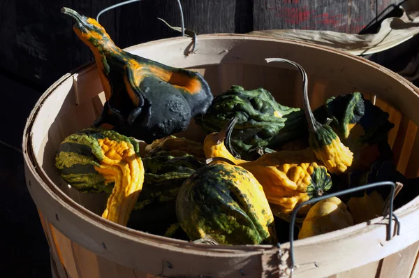 Mandje van kleurrijke val kalebassen — Stockfoto