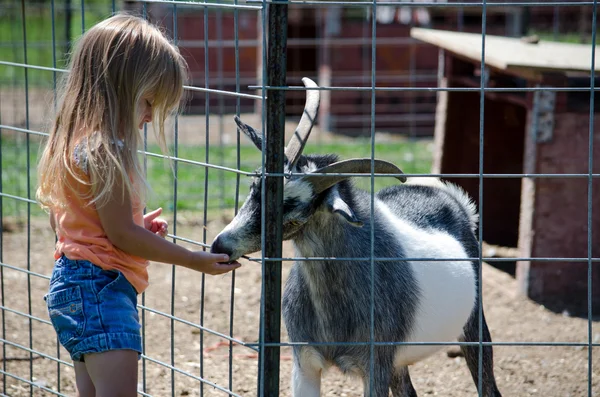 子供とヤギ — ストック写真