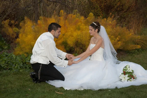 Bride and groom holding hands — Stock Photo, Image