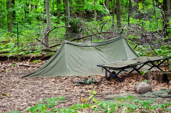 Camping in het bos — Stockfoto