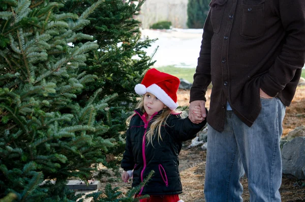 Kleines Mädchen und Papa pflücken einen Baum — Stockfoto