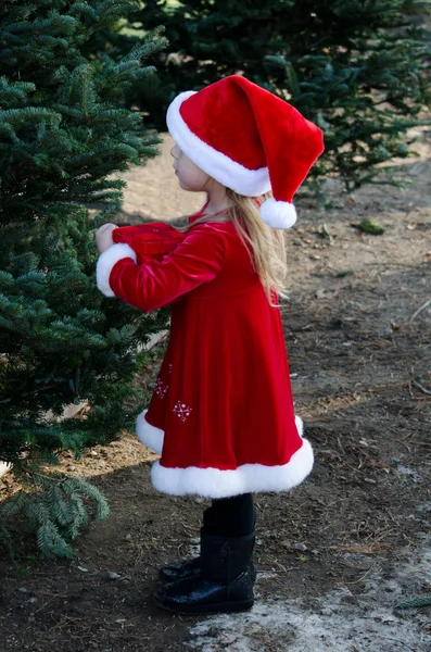 Cute girl in holiday red looks at a Christmas tree — Stock Photo, Image