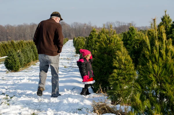 Homem e menina na fazenda árvore de Natal — Fotografia de Stock