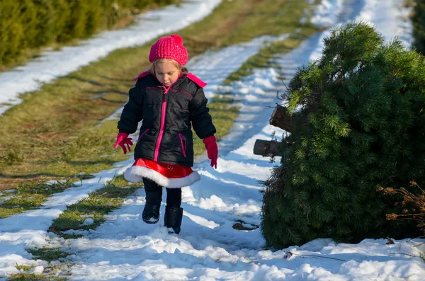 Menina na fazenda árvore de Natal — Fotografia de Stock