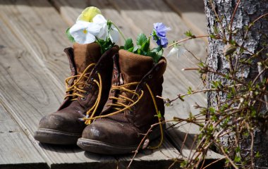 iş botları ve çiçekler