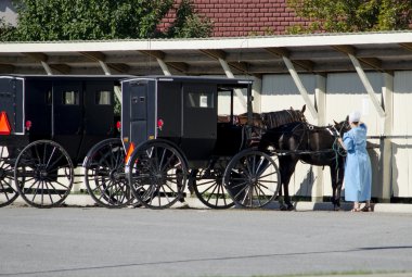 Amish at ve buggy ve kadın, eski ve yeni