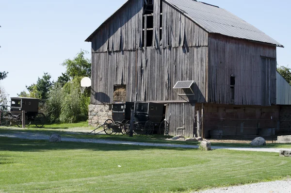Amish buggy and barn — Stock Photo, Image