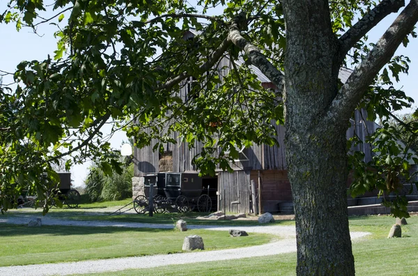 Gammal Amish golfbilar på en gård — Stockfoto