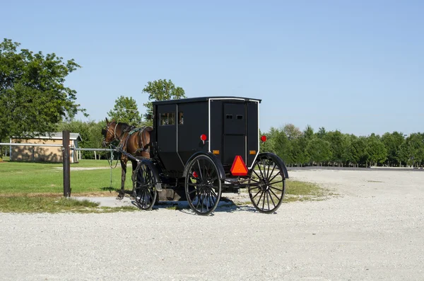 Amish adamcağız ve bekleyen at — Stok fotoğraf