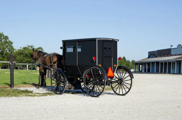 Amish caballo y buggy — Foto de Stock