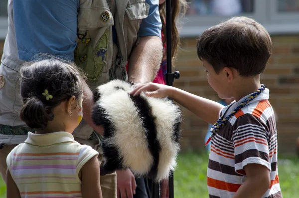 Children pet a skunk at a school show and tell event — Stock Photo, Image