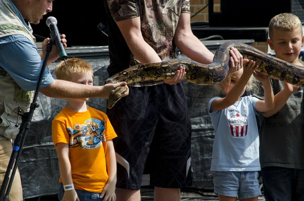 Malý chlapec bojí velkých hadů — Stock fotografie