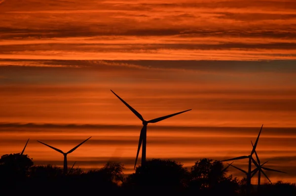 Moulins à vent au coucher du soleil en Indiana — Photo