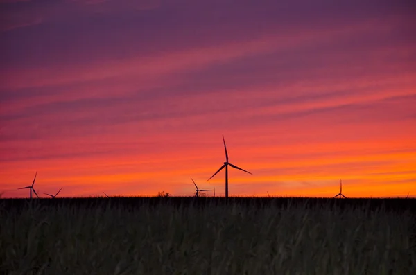Windmolens bij zonsondergang — Stockfoto