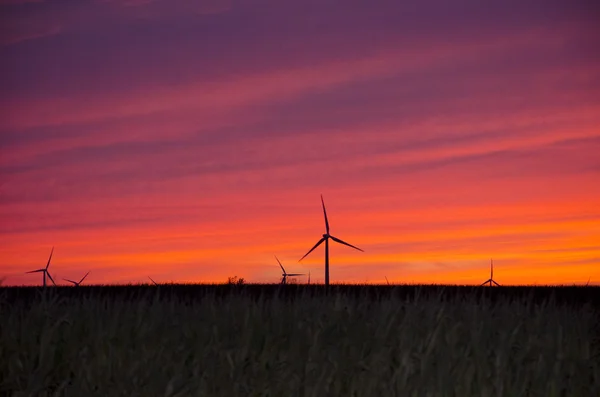 Moulins à vent au coucher du soleil — Photo