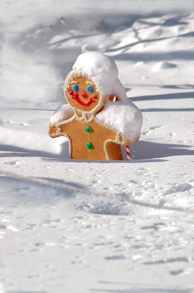 圣诞姜饼人覆盖在雪里 — 图库照片