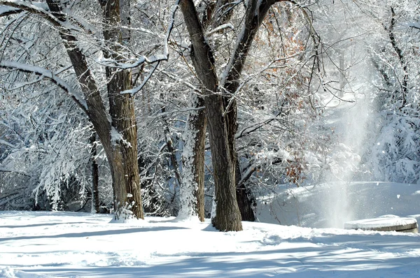 Bella neve colorado — Foto Stock