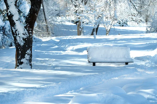 Cold park bench in winter — Stock Photo, Image