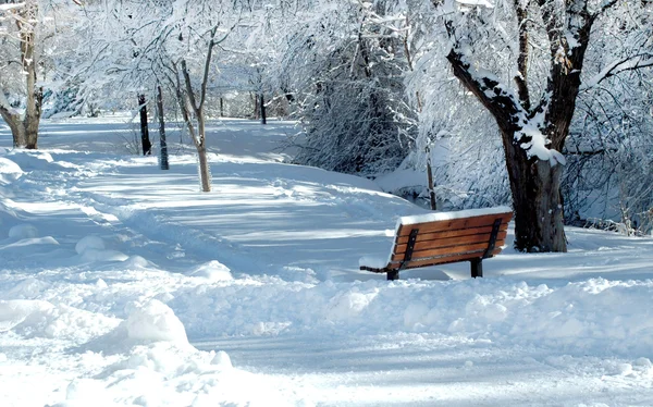 Invierno en el parque — Foto de Stock