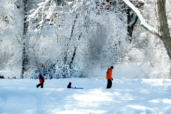 Familienausflug im Winter — Stockfoto