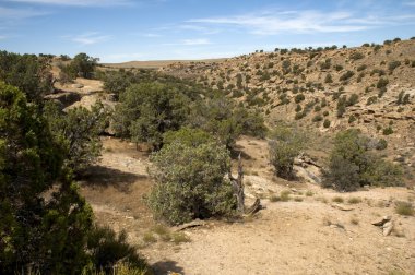 Güneybatı çöl sahne