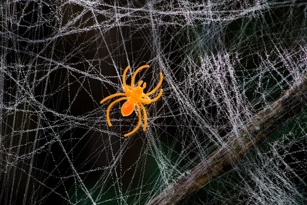 Een spin speelgoed in een web, een halloween decoratie — Stockfoto