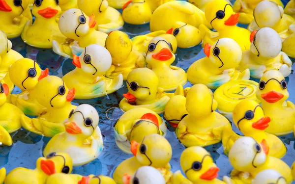 Patos de borracha com óculos em um jogo de carnaval — Fotografia de Stock