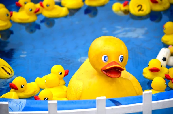 Rubber duckies at a carnival game — Stock Photo, Image