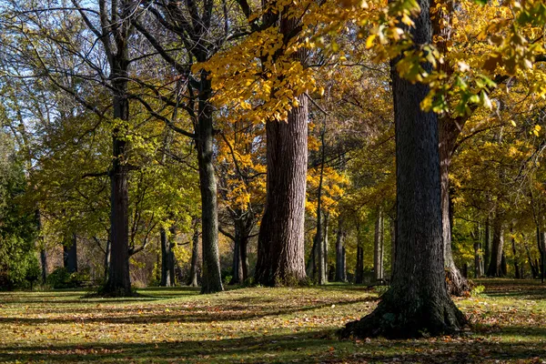 Michigan herfst landschap — Stockfoto