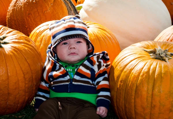 Little baby in a pumpkin patch — Stock Photo, Image