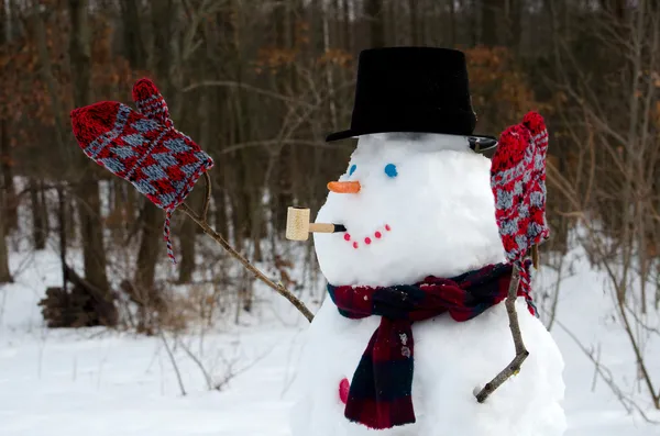 Snowman festeggia l'inverno — Foto Stock