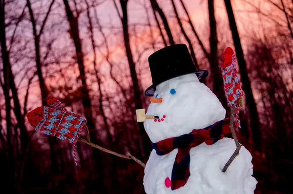 Snowman at sunset — Stock Photo, Image