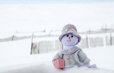 kadın kar kış Plajı'nda açık havada