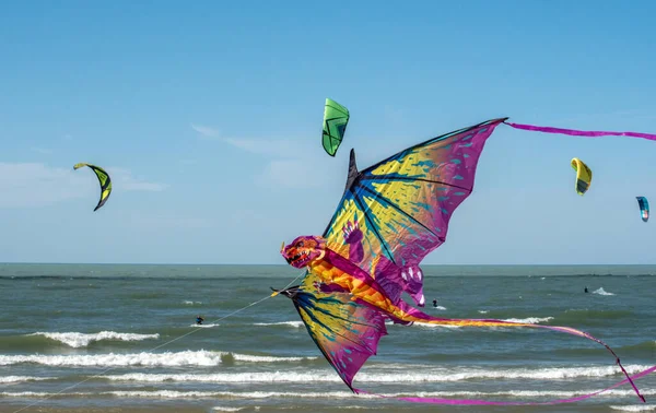 Aquilone Del Drago Vola Sopra Spiaggia Accanto Agli Aquiloni Sul — Foto Stock