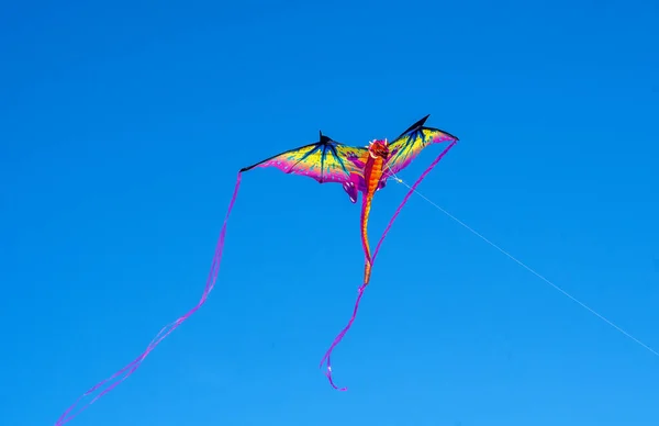 Cerf Volant Dragon Vole Dans Vent Dans Ciel Bleu Clair — Photo