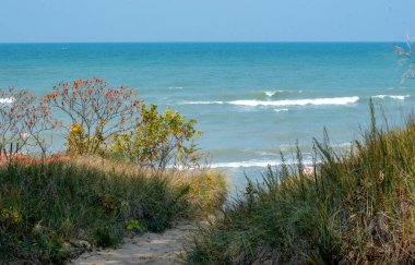 Michigan 'daki Michigan Gölü' ne doğru yumuşak bir yamaç yürüyüşü.