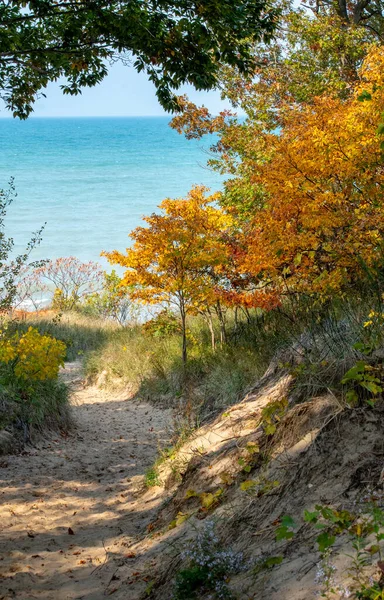Colorful Autumn Dunes Shores Lake Michigan Usa — Foto Stock