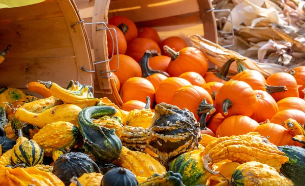 Kleurrijke Herfst Groenten Worden Verkocht Een Boerderij Stand Michigan Usa — Stockfoto