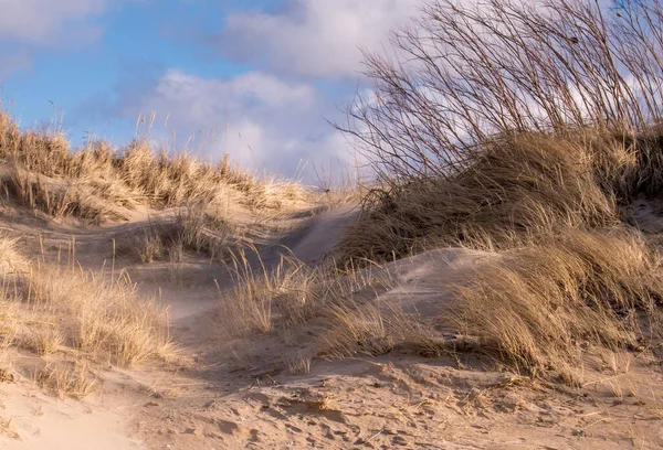 美しい風に吹かれた砂丘は 米国ミシガン州の砂丘で景色を作り出します — ストック写真