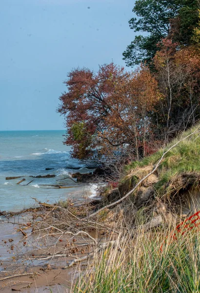 Alberi Colorati Lungo Rive Del Lago Michigan Michigan Usa — Foto Stock