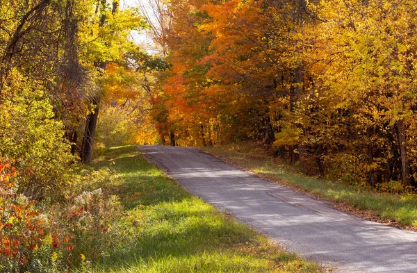 Pretty Autumn Road Michigan Usa One Takes Home — Stock Photo, Image