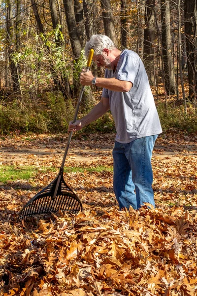 An older man rakes leaves in his yard on a crisp fall day in Michigan USA