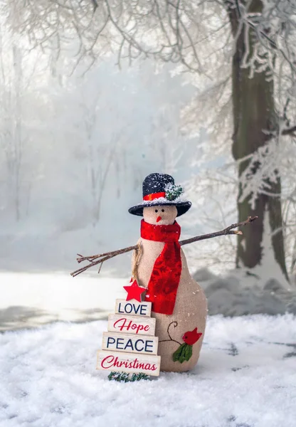 Muñeco Nieve Lindo Juguete Encuentra Bosque Cubierto Nieve Con Cartel —  Fotos de Stock