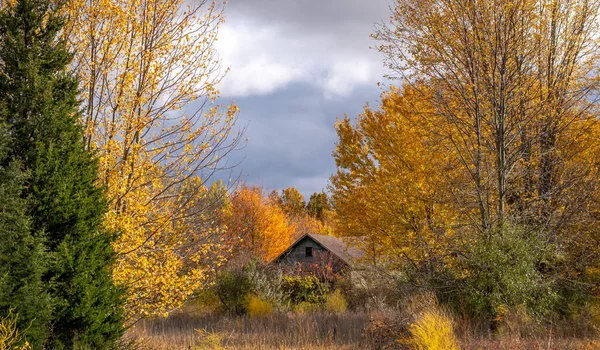 Old Rustic Barn Sits Middle Beautiful Colorful Autumn Woods — Stock Photo, Image