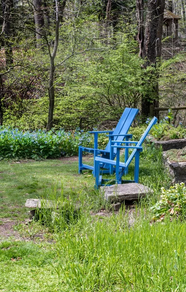Pair Blue Adirondack Chairs Placed Beautiful Garden Springtime Woods — Stock Photo, Image