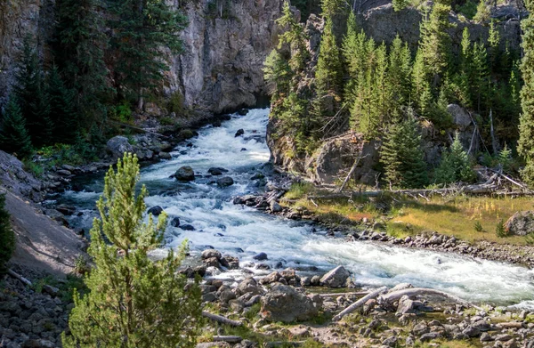 Raging River Rushes Yellowstone National Park Wyoming Usa — Stock Photo, Image